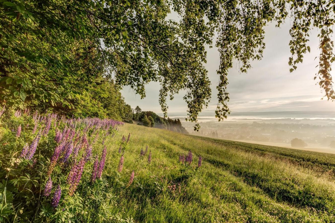 Wellness Apartmany Cesky Raj & Biokolna Lomnice nad Popelkou Exterior foto